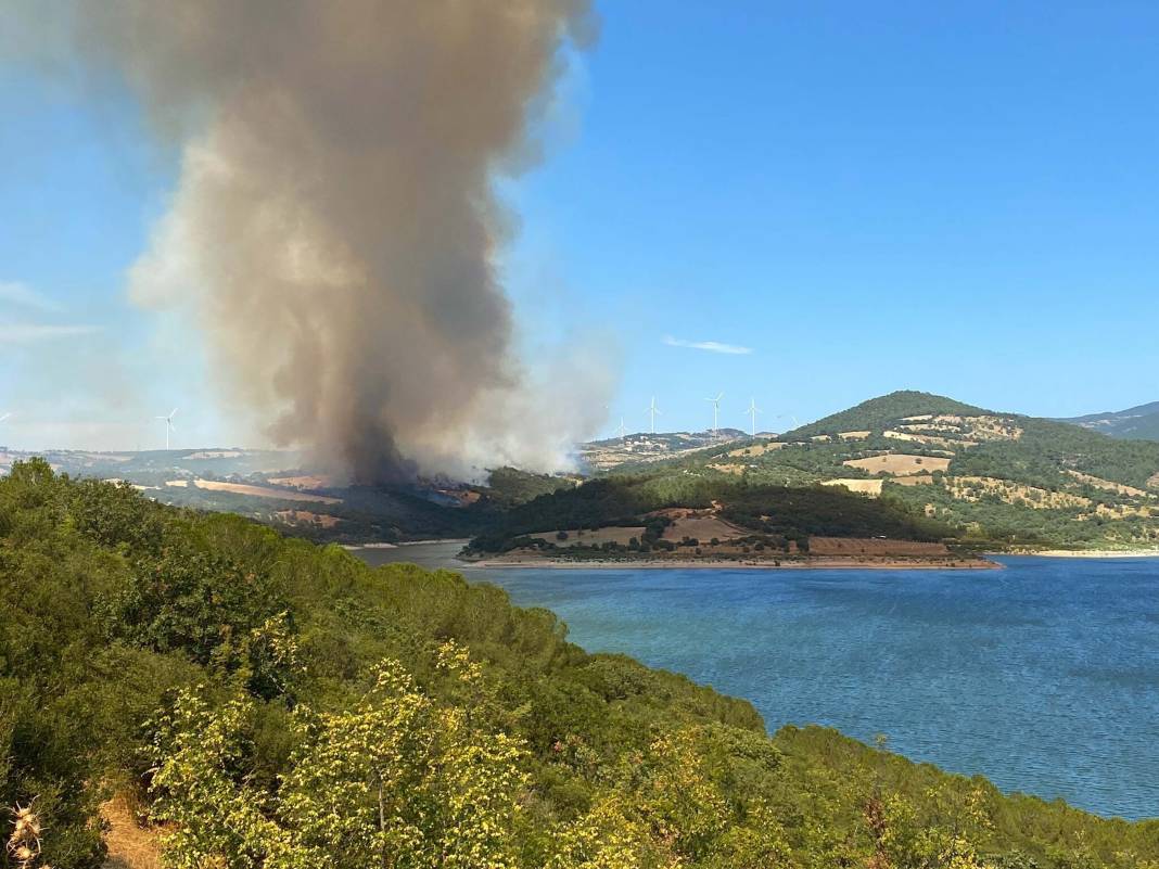 Çanakkale'de orman yangını: Havadan karadan müdahale ediliyor 3